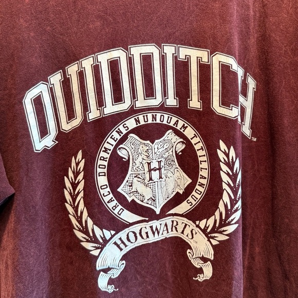 Warner Bros. Hogwarts Quidditch 2XL Maroon Tee - Picture 3 of 7
